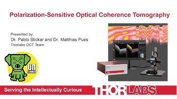 Polarization-Sensitive Optical Coherence Tomography