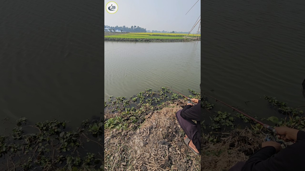 Wow! Amazing Hook Fishing video in Beel water(part-30) 
