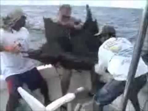 Fishing Costa Rica Charters Thanks To www fishingc...