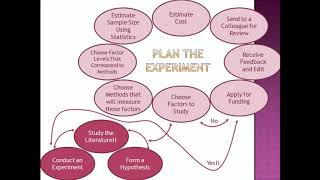 The Scientific Method Part 1:  Planning an Experiment (English Language)