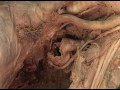 13 step 8 vagus nerve left recurrent laryngeal nerve