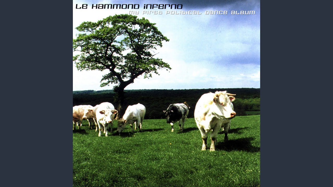 Guarda F.S.B. su YouTube Guarda F.S.B. su YouTube