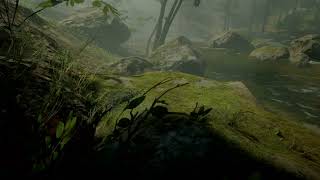 3 Hours of Peaceful River Ambience in the Forest with Flowing Water and Bird Singing for Deep relax