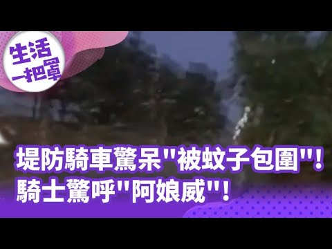 《生活一把罩》堤防騎車驚呆"被蚊子包圍"! 騎士驚呼"阿娘威"!