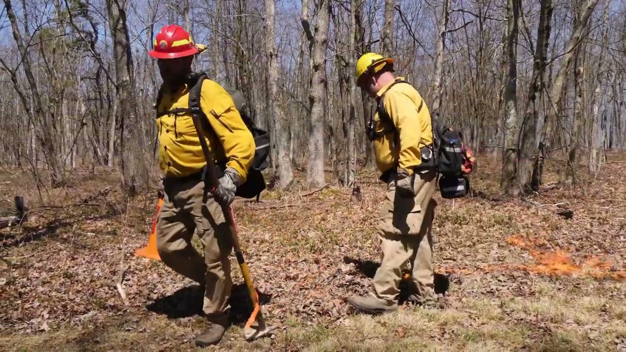 The Power of Prescribed Fire