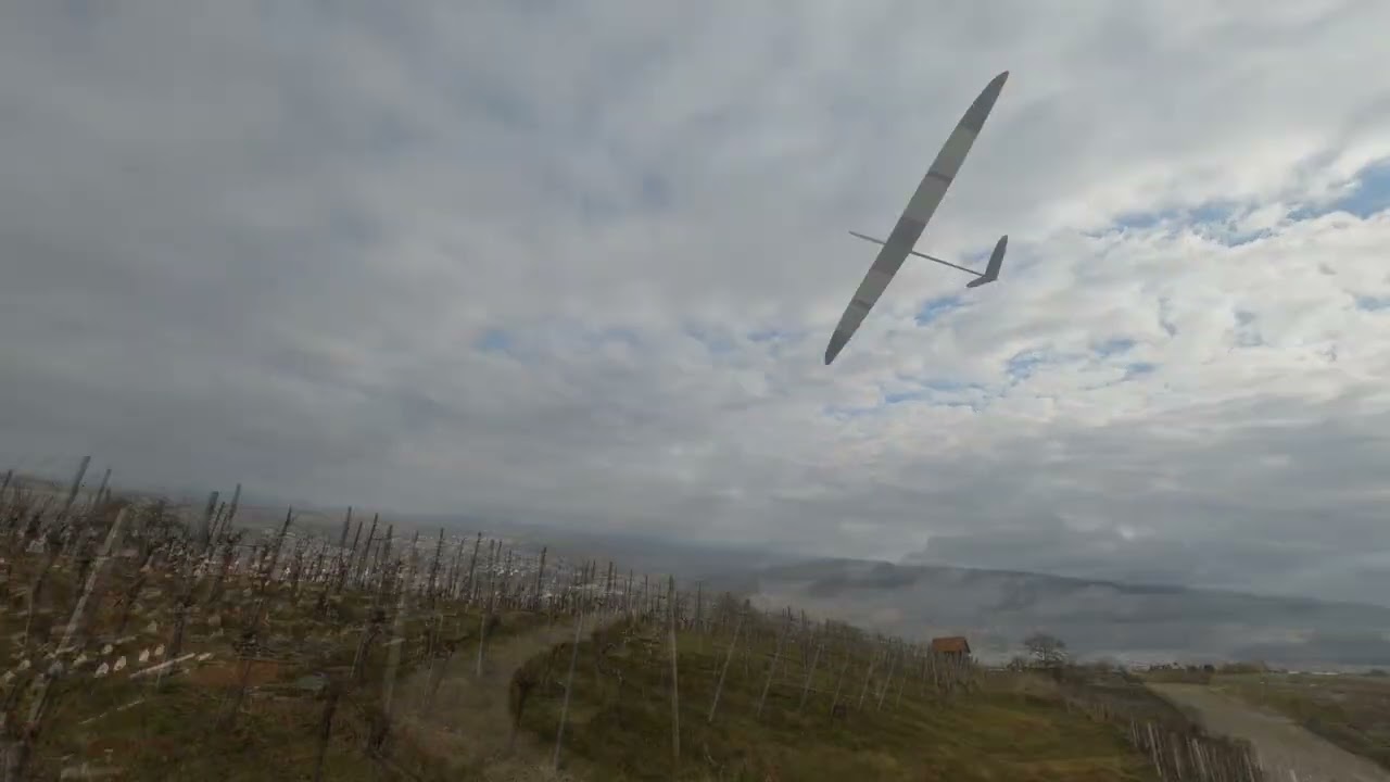 Hangflug VJX F3F 040