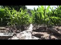 Pathfinder Irrigation District Announces Timing of 2026 Water Season
