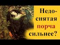 Недоснятая порча сильнее или слабее? /Снятие порчи