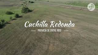 22 hectáreas en Cuchilla Redonda sobre ruta