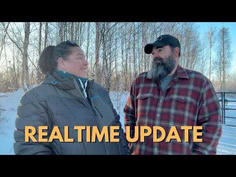 Alaska Homestead Life Projects City Adventures 