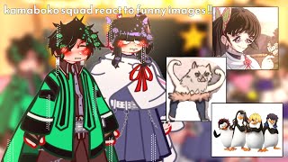 Kamaboko Squad React To Cursedfunny Images Knyds Gn Lazy React Video