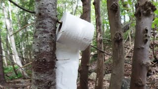 Taking a poop in the woods