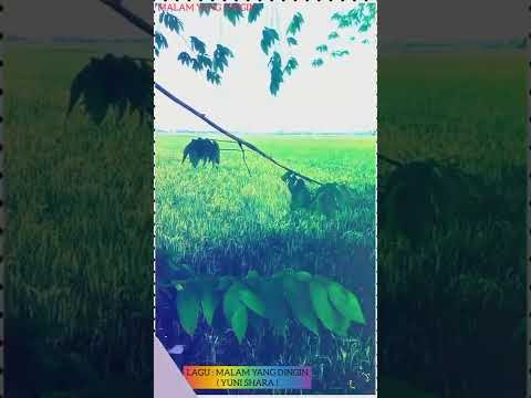 YUNI SHARA - DESEMBER KELABU (Official Music Video)