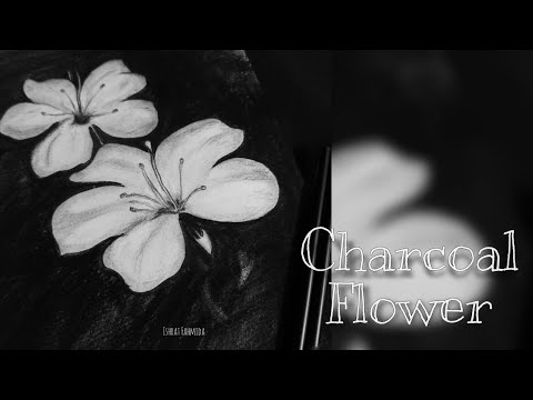 How to draw flowers using charcoal pencil  Charcoal pencil drawing
