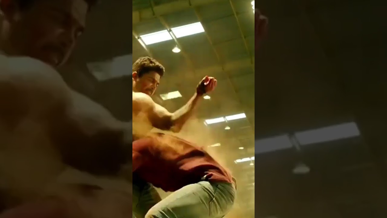 Allu Arjun Fight | Sarinodu