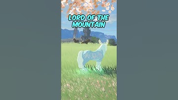 Things You Didn’t Know In Tears of the Kingdom! 🤯(Part 1) #zelda #totktips #totk #tearsofthekingdom