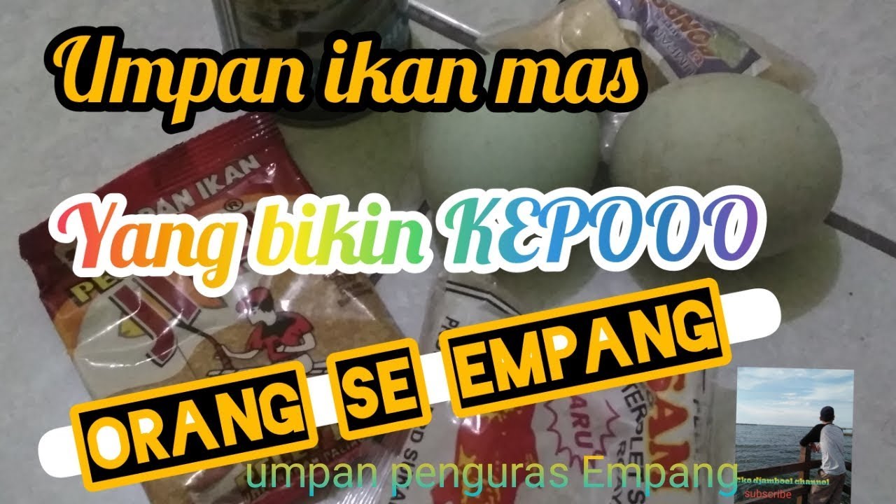 Umpan ikan mas paling gacor || Eko djamboel