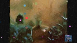 Bad Sneakers   Steely Dan With S