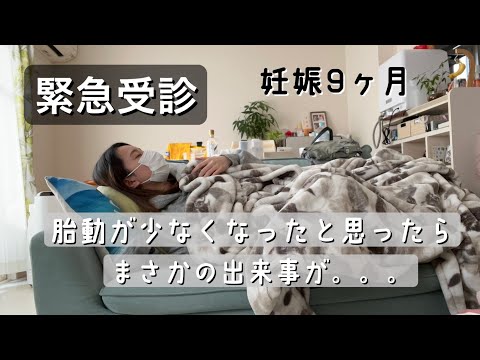 [Emergency Hospital Visit] 9 Months Pregnant / I thought my baby's movements had slowed down, but...