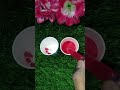 Tea cups me banaya choco BiscuitMix popsicle |#shorts #icecream#popsicle