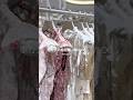 ããè²·ãç©VLOGðïžããã«ã³ã¹ã«è¡ãæã«çãããæŽæãªã©ãªã©GETðð«§"ãã«ã³ã¹VLOG"ã¯é·ç·šã§åºããã...ð¬â§âžâ