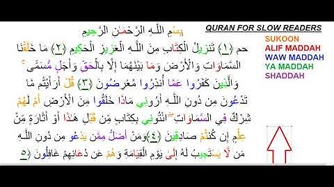 SURAH 46سورة الأحقاف AL-AHQAF AYAH 1 TO 5 FOR SLOW READERS