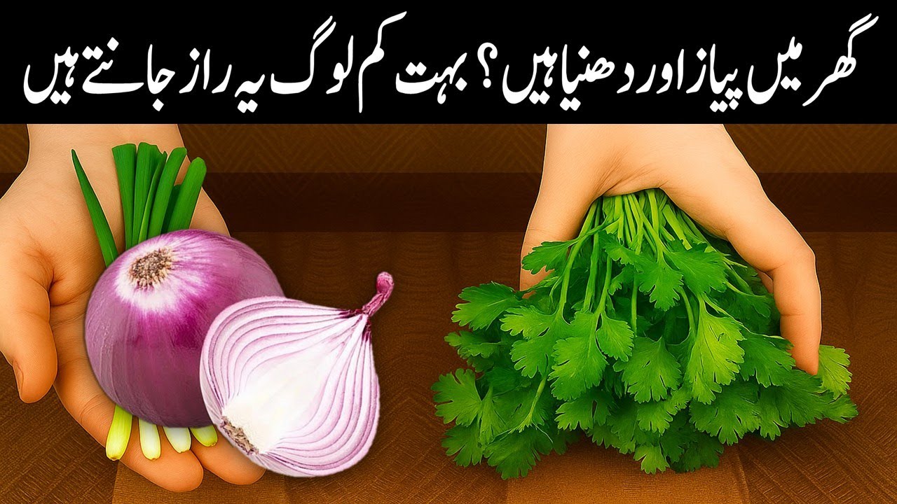 اگر آپ کے گھر میں پیاز اور دھنیا ہے تو یہ بنائیں آپ کے گھر والے حیران رہ جائیں گے! / Piyaz Paratha
