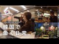 韓国で働く日本人VLOG / 会社での日常＆同僚と夜ご飯 / 韓国スタバのお弁当🍱 【韓国在住】 한국에서 일하는 일본인 브이로그 / 회사에서의 일상 / 동료랑 먹는 저녁 / 스타벅스 도시락