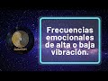 Frecuencias de alta y baja vibración, con Arturo Jiménez-Biofísico.