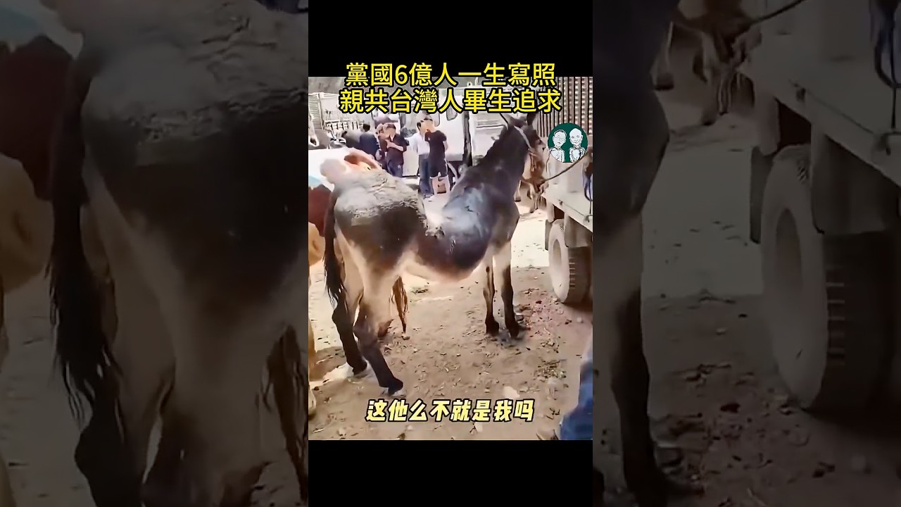 28秒寫盡黨國牛馬真實一生！下輩子寧可投胎非洲！
