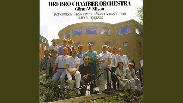 Serenade for String Orchestra, Op. 11: III. Scherzo