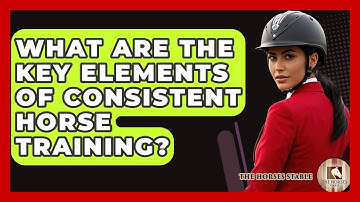 What Are The Key Elements Of Consistent Horse Training? - The Horses Stable