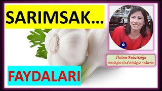 Sarimsağin Faydalari