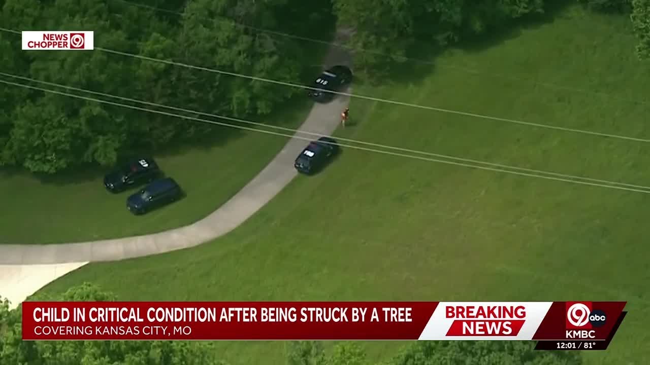 KCFD: Child in critical condition after being struck by tree - YouTube