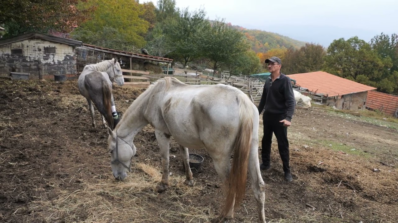 Čovjek je najopasnija životinja. (isječak)