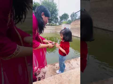 Aru Maachhalio Ko Khanna khila rahi thi , Achanak snake Aa Gaya??
