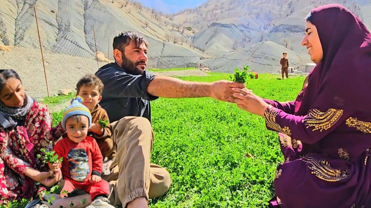 ۱۱ مارس ۲۰۲۶