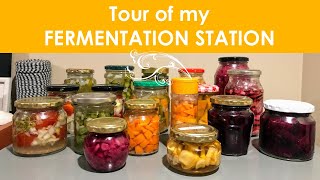 Fermentation Station Tour: Recipes I use & Fermentation Tips for Beginners [Fermented Foods]