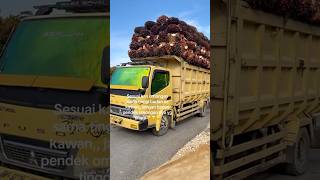 Kejar setoran #trucksawit #automobile #muatsawitkeram #excavator
