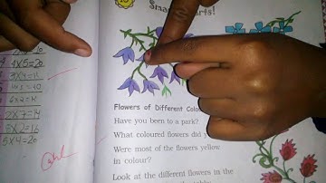 Chapter 13 Smart Charts | Grade 3 Mathematics | NCERT | CBSE