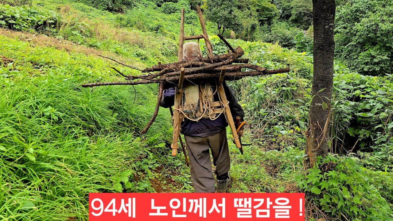 굴피집 뱀천지 돌바우틈 살펴보니 독사뱀 은신처 바위굴 천지네 어르신 지개손질 땔감 ᆢ - YouTube