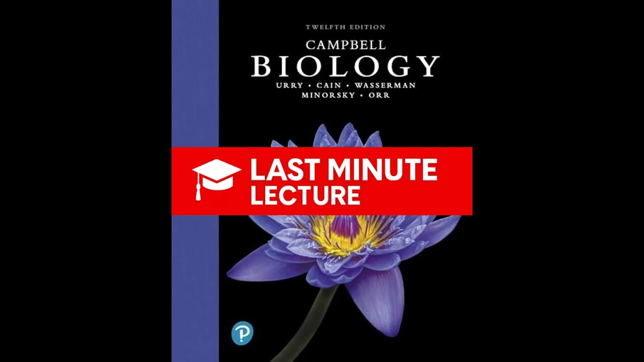 Обзор филогении и древа жизни | Глава 26 – Биология Кэмпбелла (12-я) (пересмотренная)