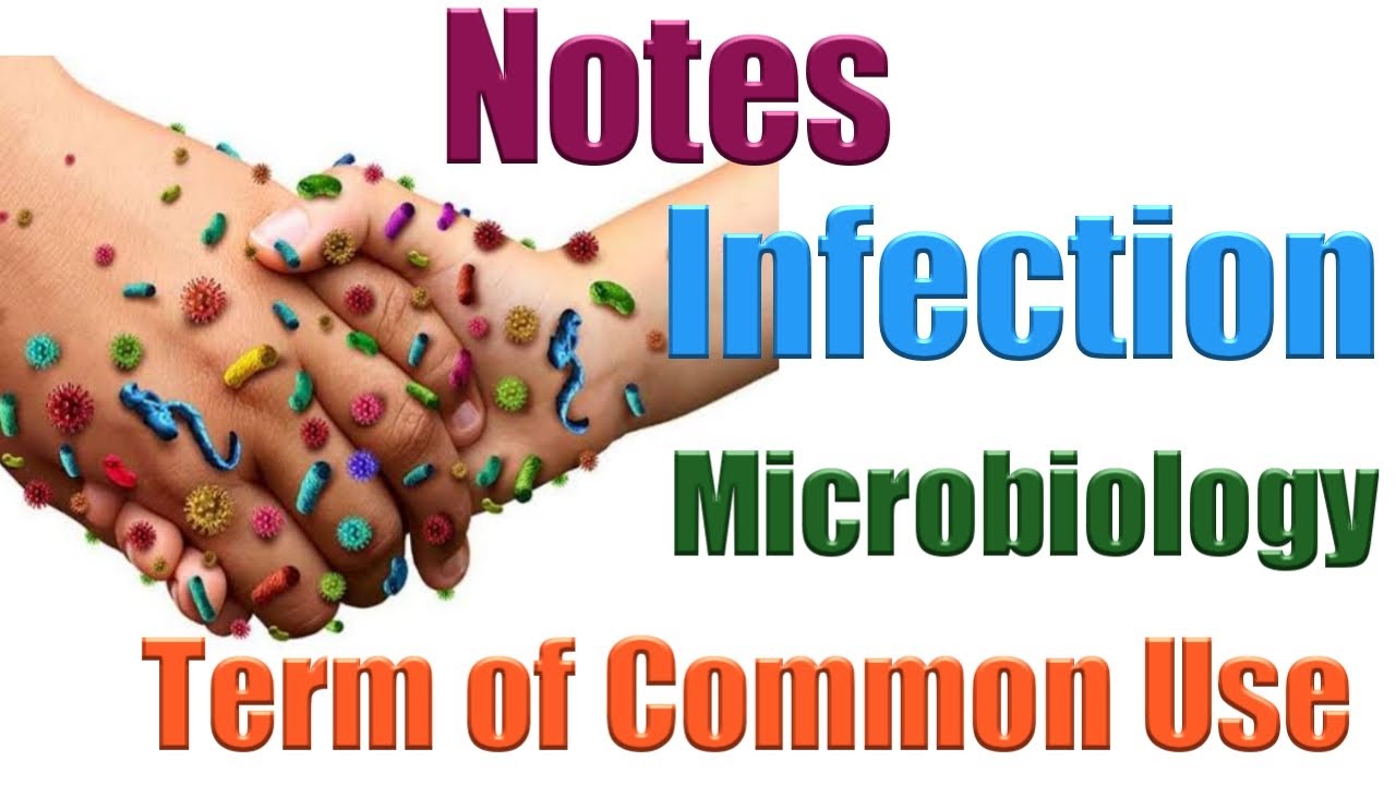 Infection Types Of Infection In Microbiology In Hindi Classification