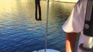 Bass Fishing With 5" Senkos