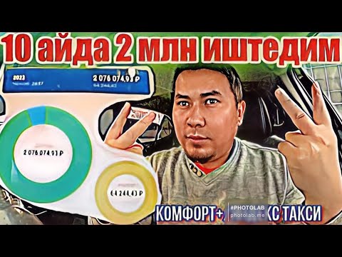 2🍋 10 айда! Бирок жыйынтык мышык ыйлагыдай...