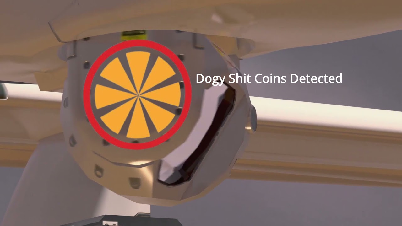 Grapefruit Absolutely Rekts Dogy Coins That Aren't Shiba Inu Meme