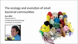 Sara Mitri: The ecology and evolution of small bacterial communities