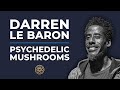 Psychedelic Conversations | Darren Le Baron - Psychedelic Mushrooms #10