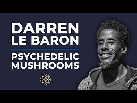 Psychedelic Conversations | Darren Le Baron – Psychedelic Mushrooms #10