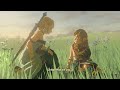 Wait I guess Zelda is saving link now?